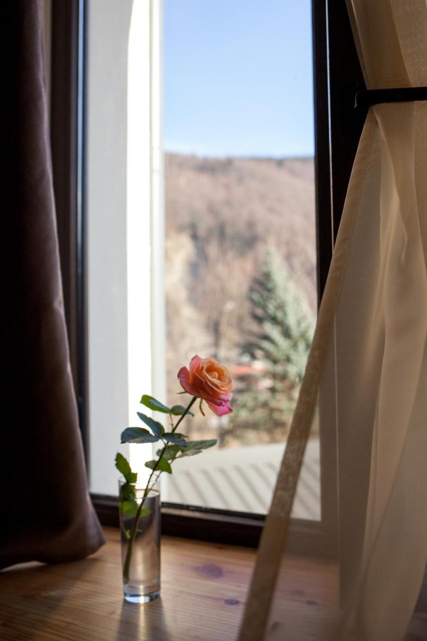 Baron Spa Hotel - Museum Jaremče Exteriér fotografie